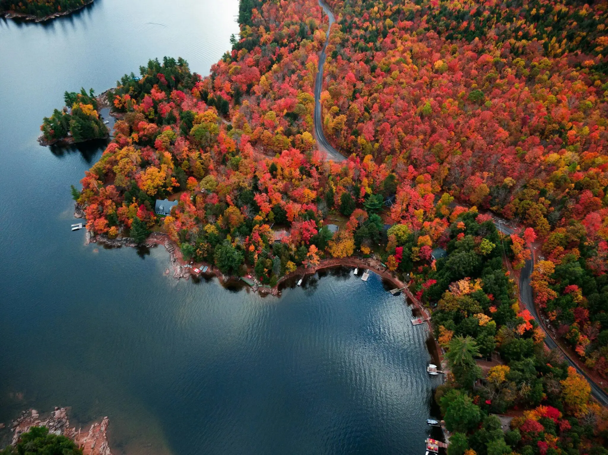 Aerial view of vibrant autumn forest by lake.
