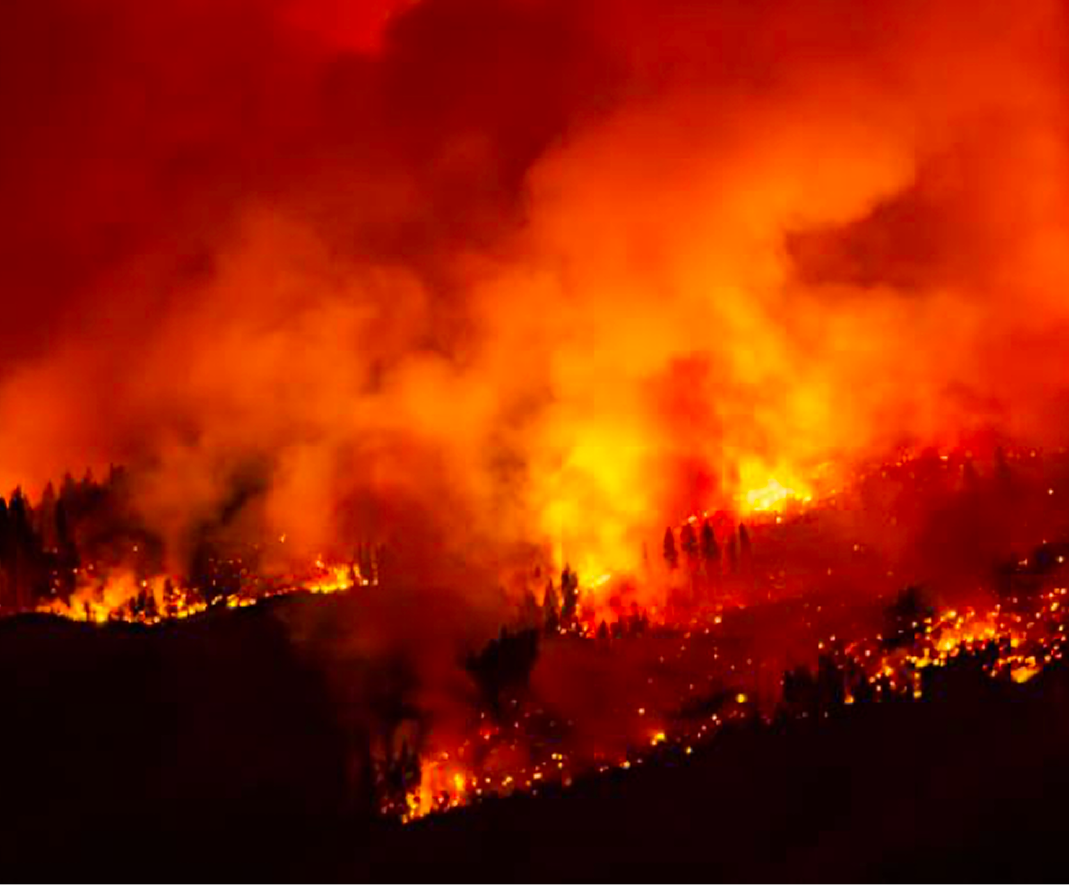 A large wildfire raging through a forest at night.