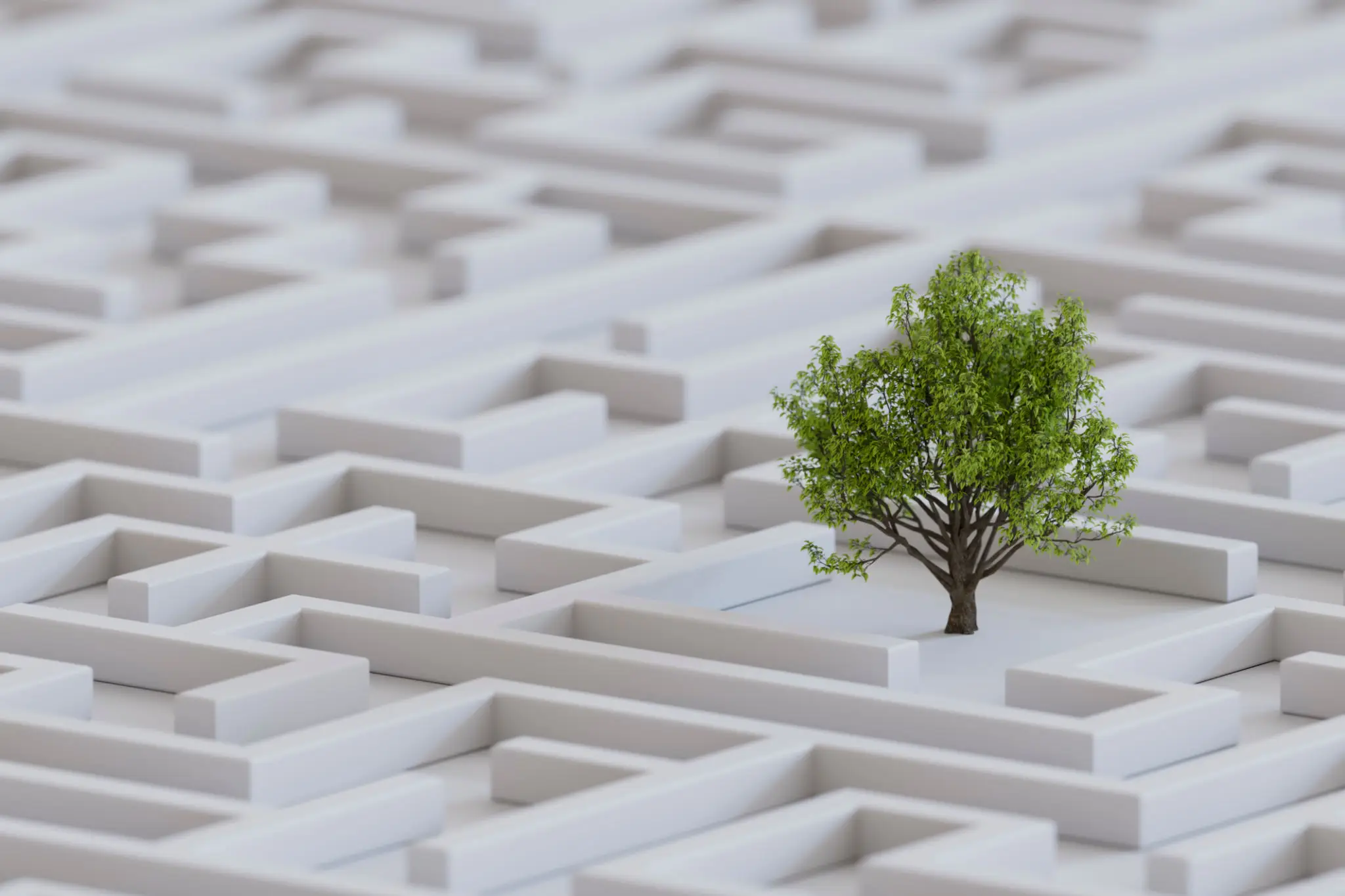 A single green tree stands beside a white maze structure.