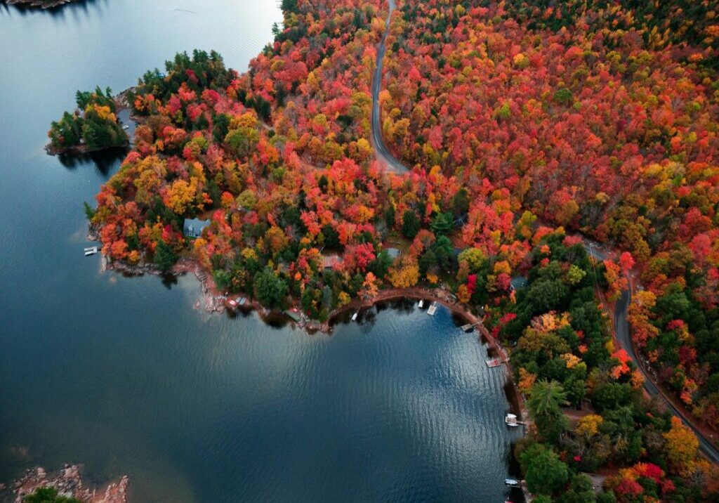 Aerial view of vibrant autumn forest by lake.