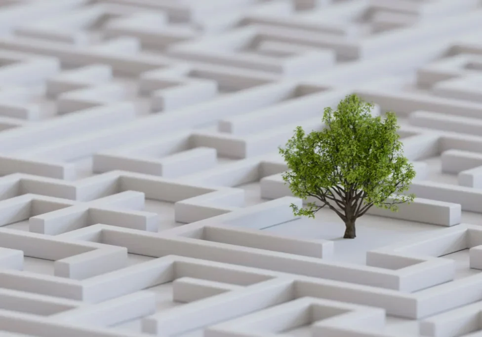 A single green tree stands beside a white maze structure.