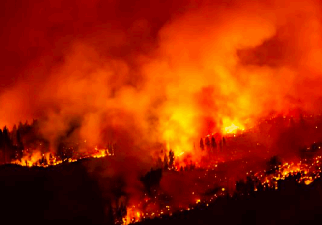 A large wildfire raging through a forest at night.
